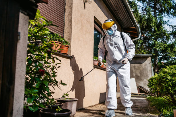 Wasp Removal Services in Coos Bay, OR